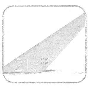 21v logo
